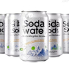 Beverage Factory Wholesale OEM Private Label Healthy White Peach Fruity Juice Flavor Vitamin C Soda Sparkling Water Drink