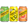 Wholesale Private Label 330ML Canned Fruit Juice Sparkling Carbonated Exotic Soda Water Water Soft Drinks 