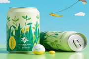 Why Consumers Love Sleek Cans: A Blend of Style, Portability, And Functionality