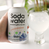Beverage Factory Wholesale OEM Private Label Healthy White Peach Fruity Juice Flavor Vitamin C Soda Sparkling Water Drink