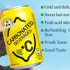Wholesale Private Label 330ML Canned Fruit Juice Sparkling Carbonated Exotic Soda Water Water Soft Drinks 