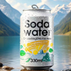 Beverage Factory Wholesale OEM Private Label Healthy White Peach Fruity Juice Flavor Vitamin C Soda Sparkling Water Drink